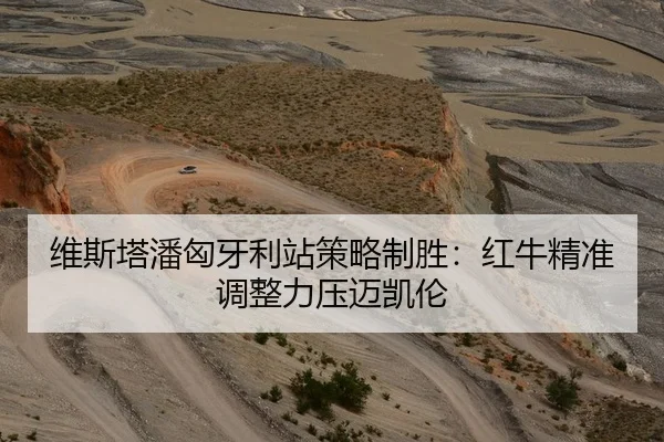 维斯塔潘匈牙利站策略制胜：红牛精准调整力压迈凯伦