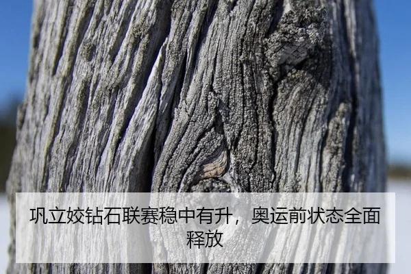 gong-li-jiao-zuan-shi-lian-sai-wen-zhong-you-sheng-ao-yun-qian-zhuang-tai-quan-mian-shi-fang-2-160.jpg